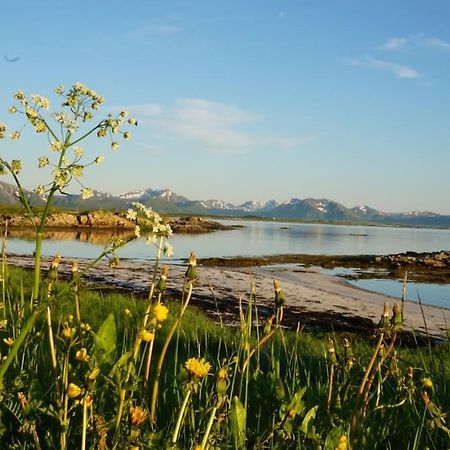 Sjarmerende Hus Med Orkesterplass Til Hav Og Fjell Stave Экстерьер фото
