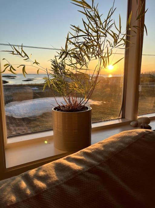 Sjarmerende Hus Med Orkesterplass Til Hav Og Fjell Stave Экстерьер фото