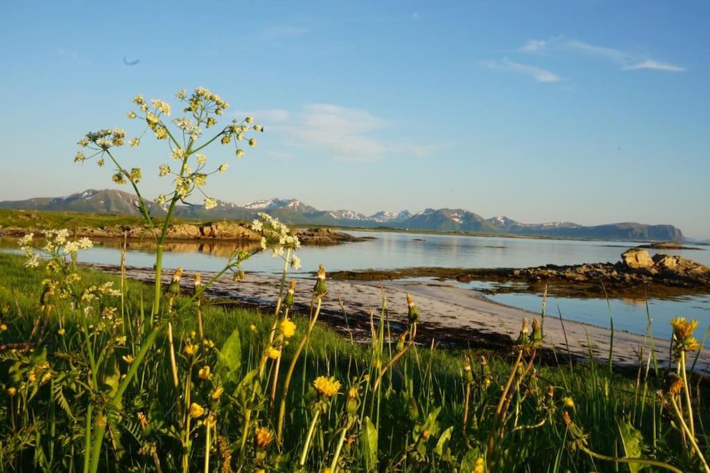 Sjarmerende Hus Med Orkesterplass Til Hav Og Fjell Stave Экстерьер фото