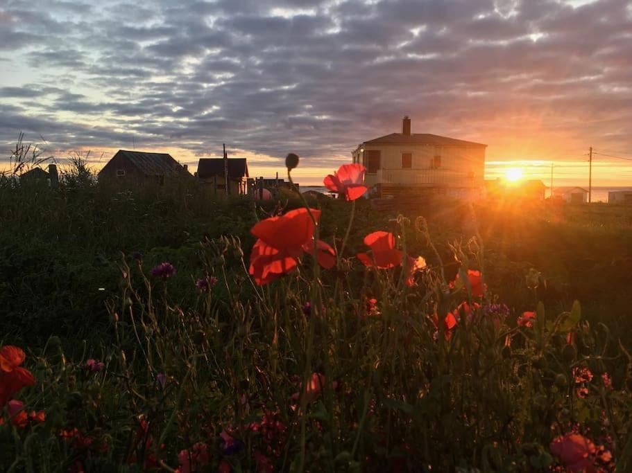 Sjarmerende Hus Med Orkesterplass Til Hav Og Fjell Stave Экстерьер фото