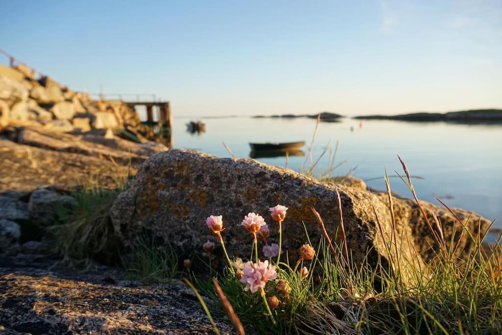 Sjarmerende Hus Med Orkesterplass Til Hav Og Fjell Stave Экстерьер фото